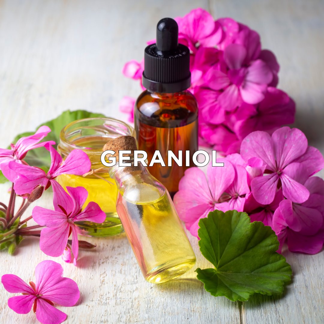 Geraniol in tattoo cosmetics | Loveink  Loveink - Tattoo Cosmetics