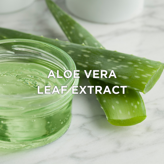Aloe Barbadensis Leaf Extract