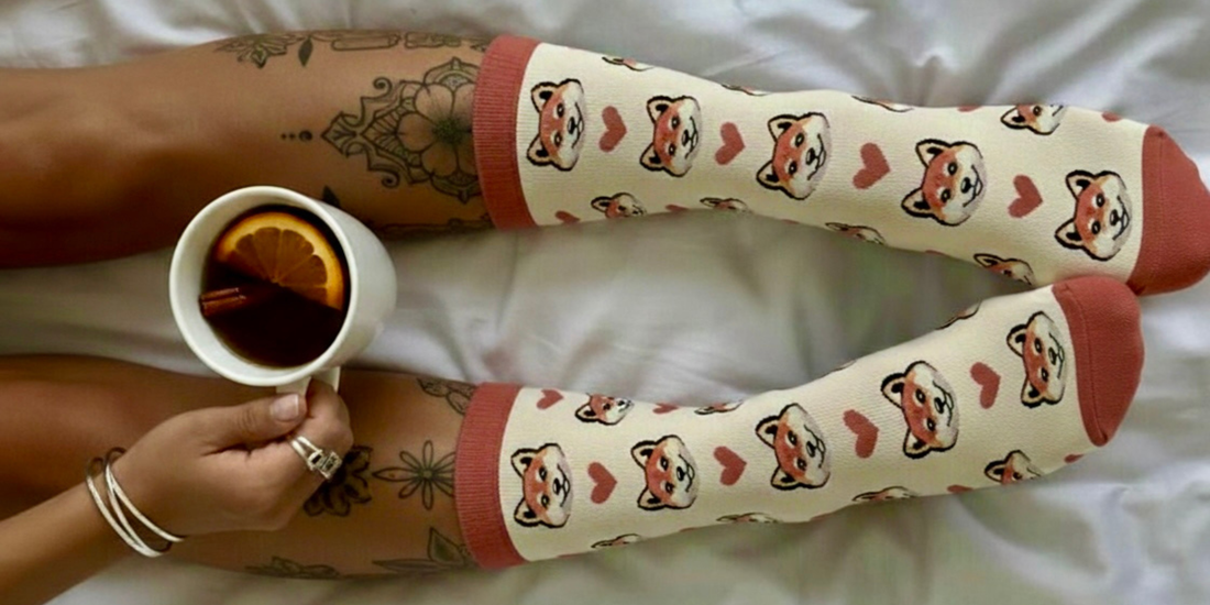 NEW: DOGGO – socks with a pupper that boosts your mood better than your morning coffee