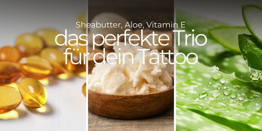 Natural Ingredients Your Tattooed Skin Will Love – A Guide to Shea Butter, Aloe Vera, and Vitamin E